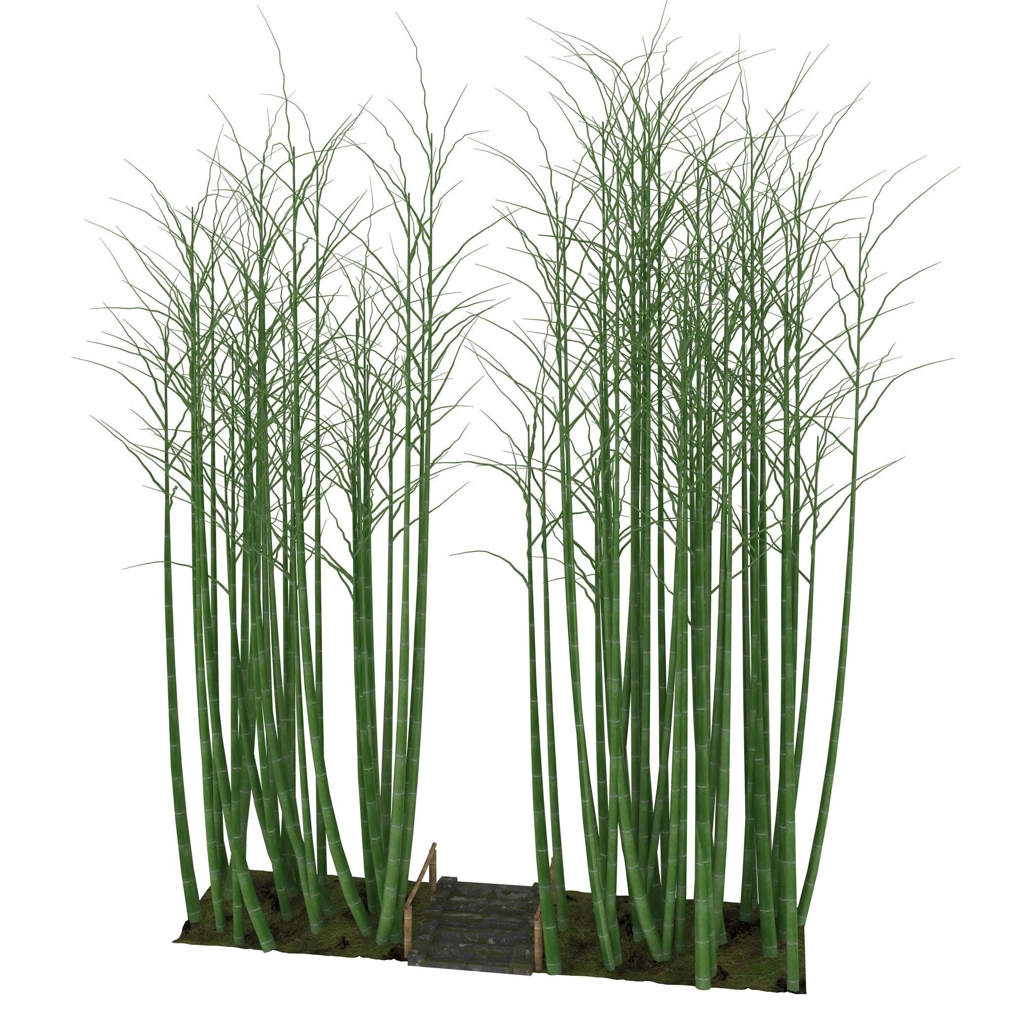 Bamboo corridor set 3D model_41