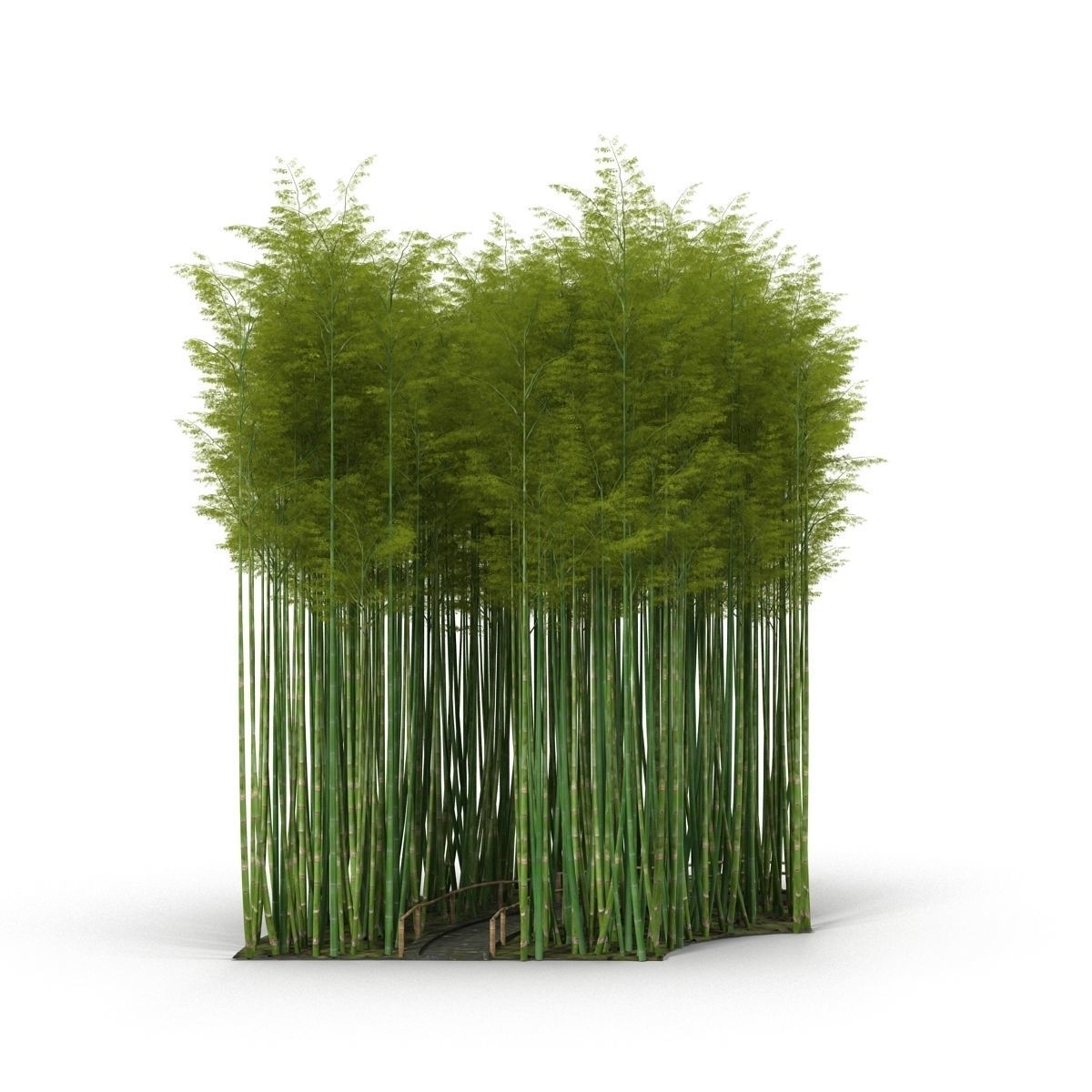 Bamboo corridor set 3D model_57