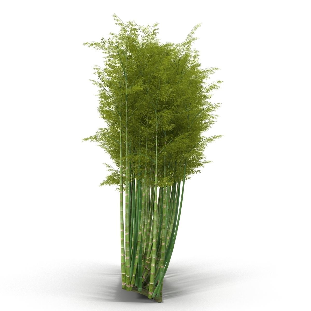Bamboo corridor set 3D model_33