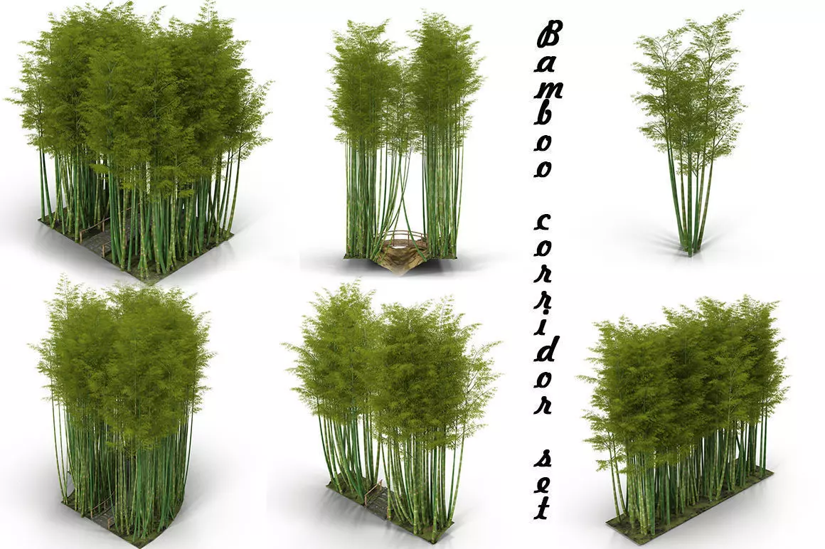 Bamboo corridor set 3D model_0