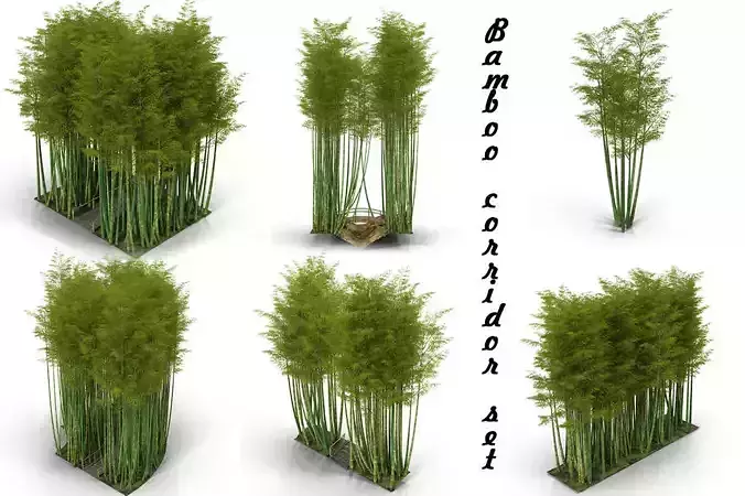 Bamboo corridor set 3D model