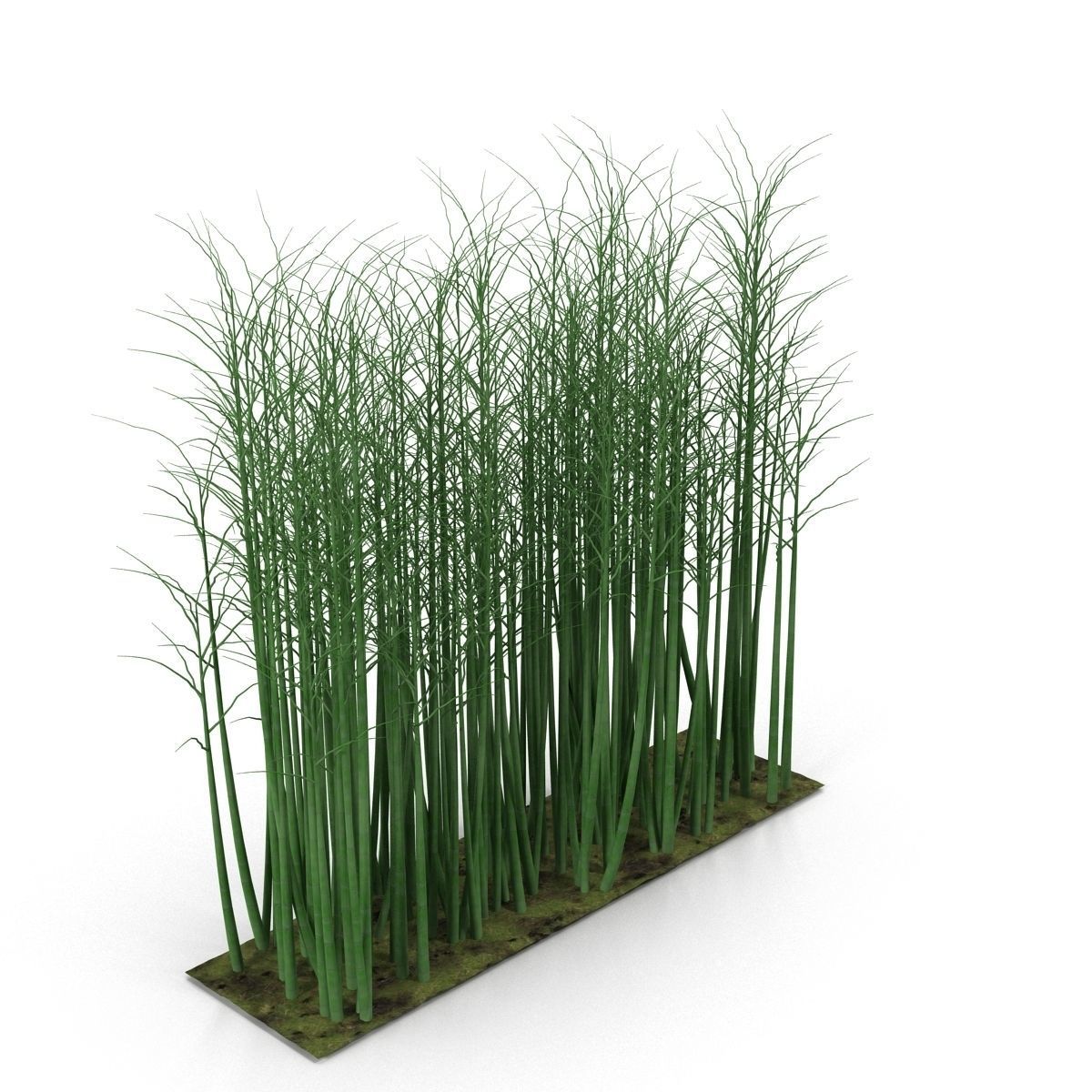 Bamboo corridor set 3D model_16