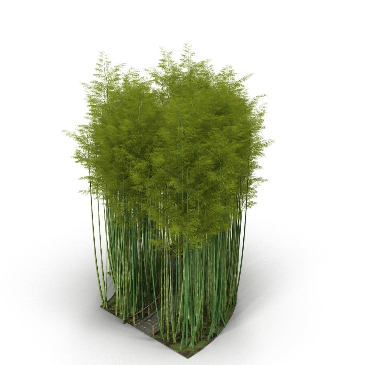 Bamboo corridor set 3D model_53