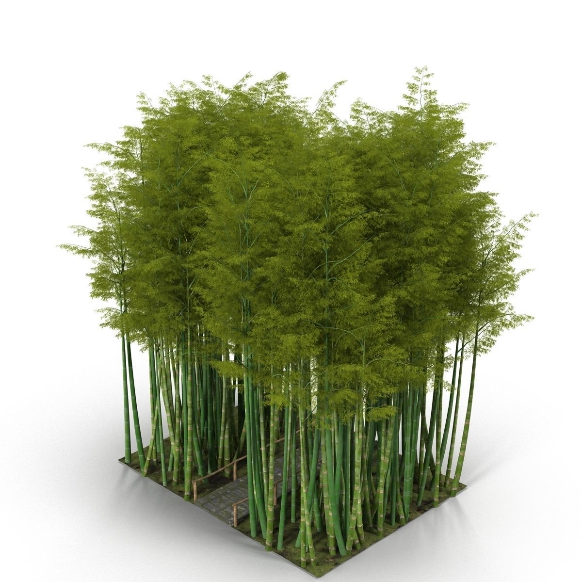 Bamboo corridor set 3D model_44