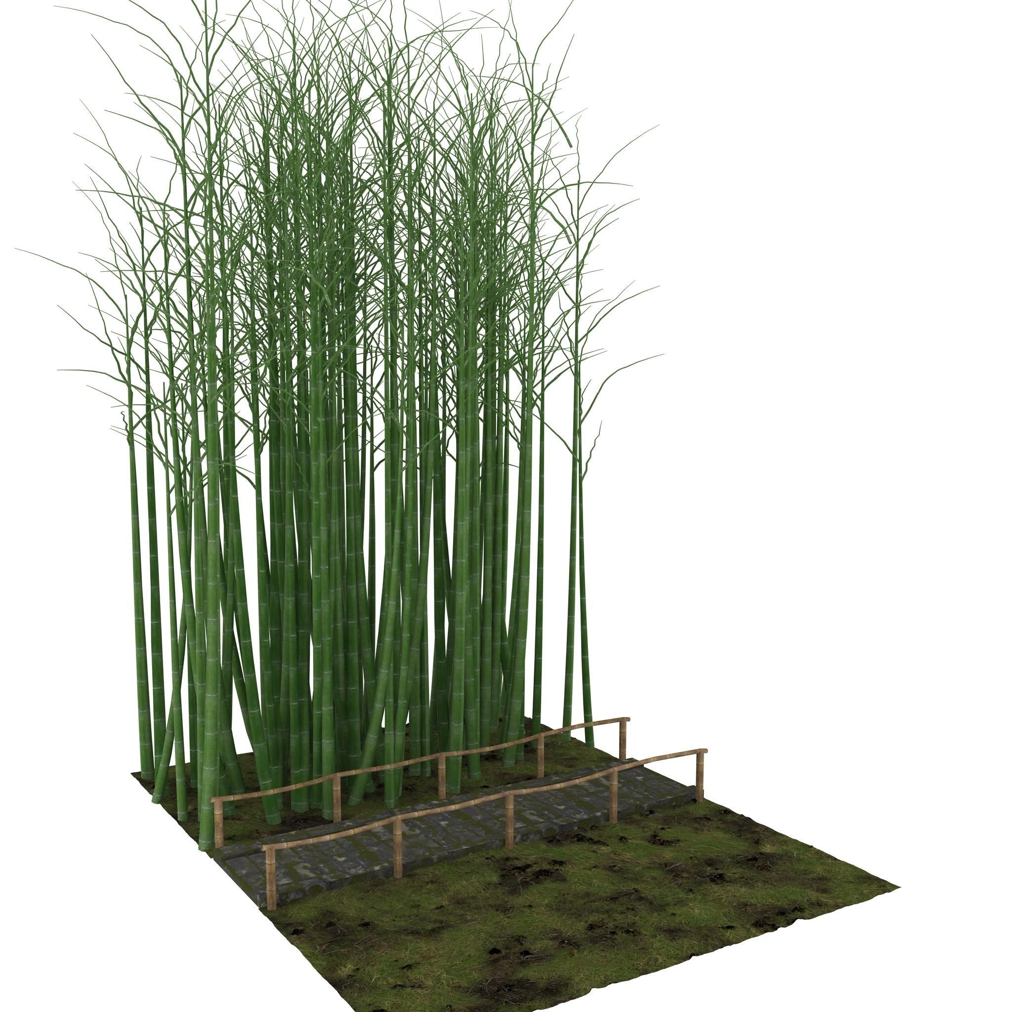 Bamboo corridor set 3D model_50