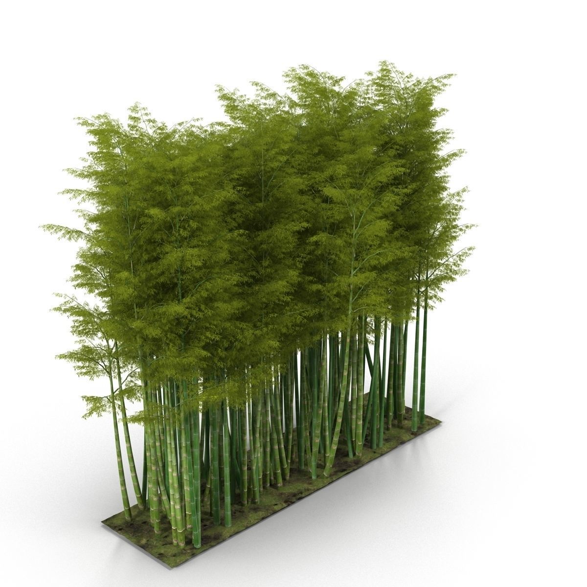 Bamboo corridor set 3D model_14
