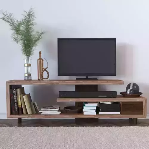 Set 15 wooden tv stand with books and plants