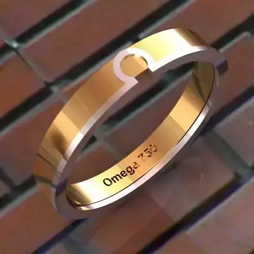 Omega RIng  3D print model