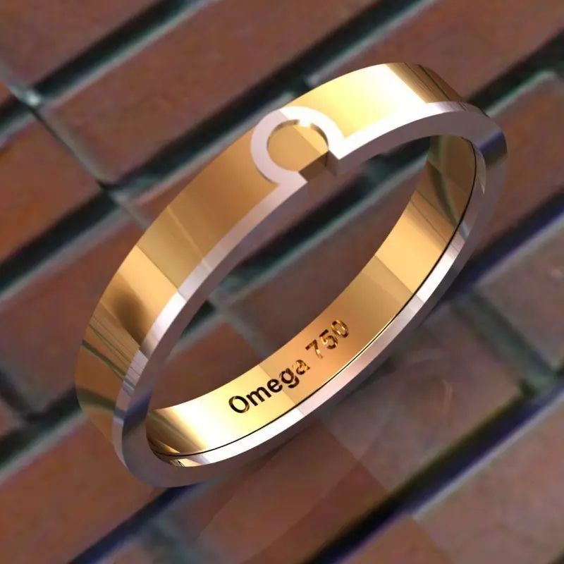 Omega RIng  3D print model_0