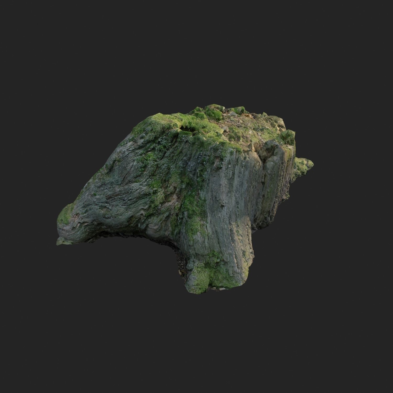 3d scanned nature tree stump 008 Low-poly 3D model_2
