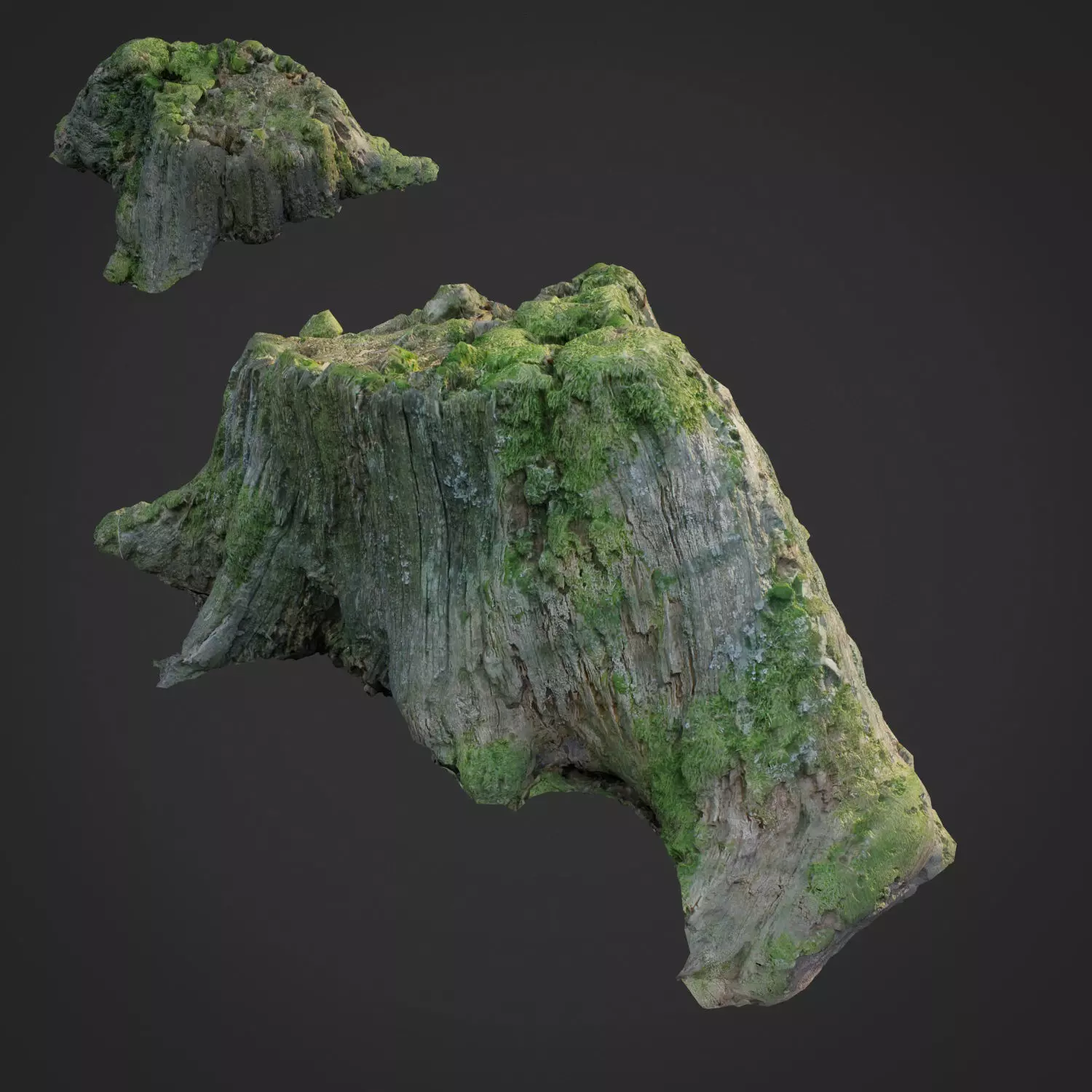 3d scanned nature tree stump 008 Low-poly 3D model_0