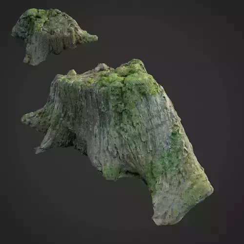 3d scanned nature tree stump 008