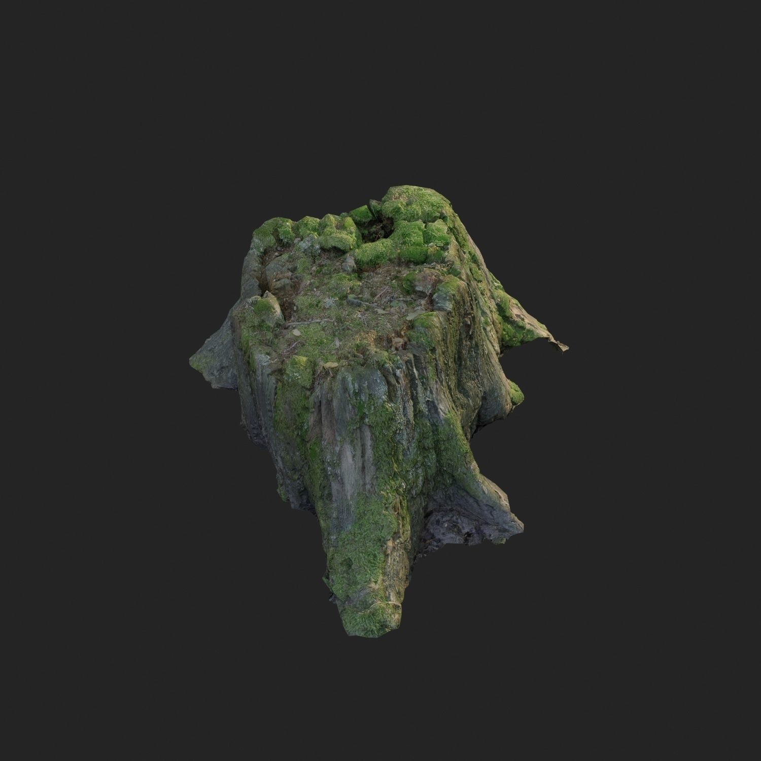 3d scanned nature tree stump 008 Low-poly 3D model_1