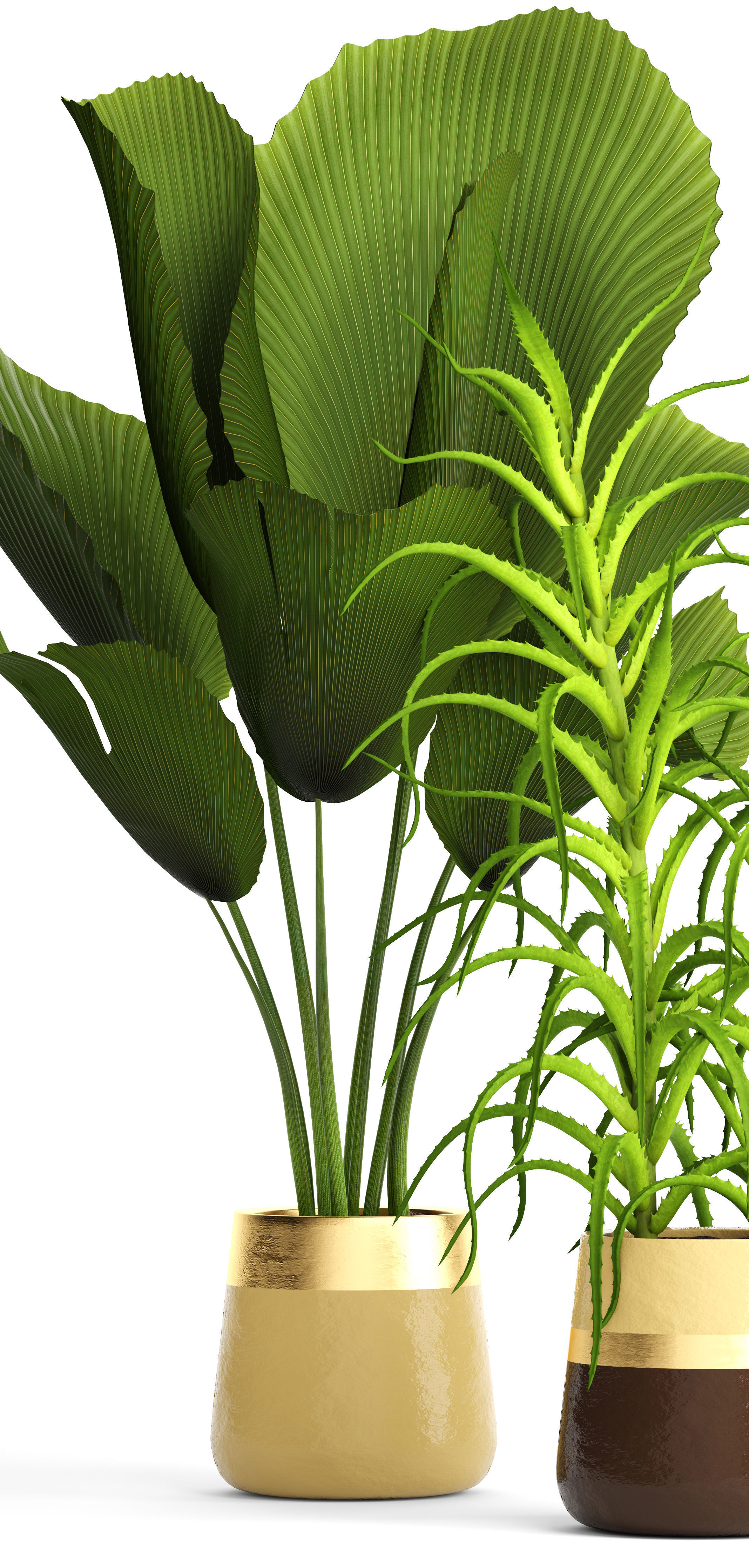 Plant set three potted plants 3D model_5