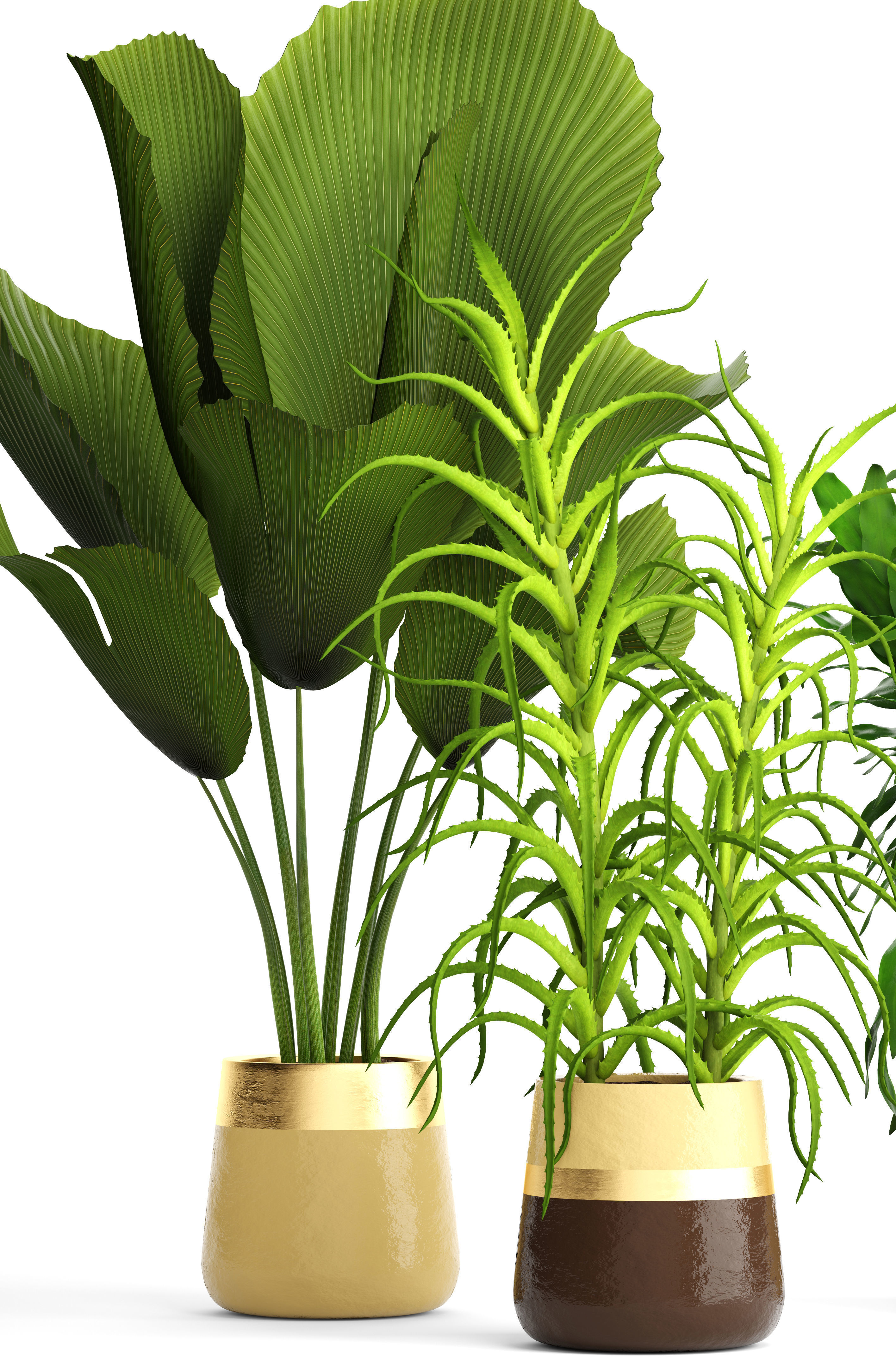 Plant set three potted plants 3D model_3