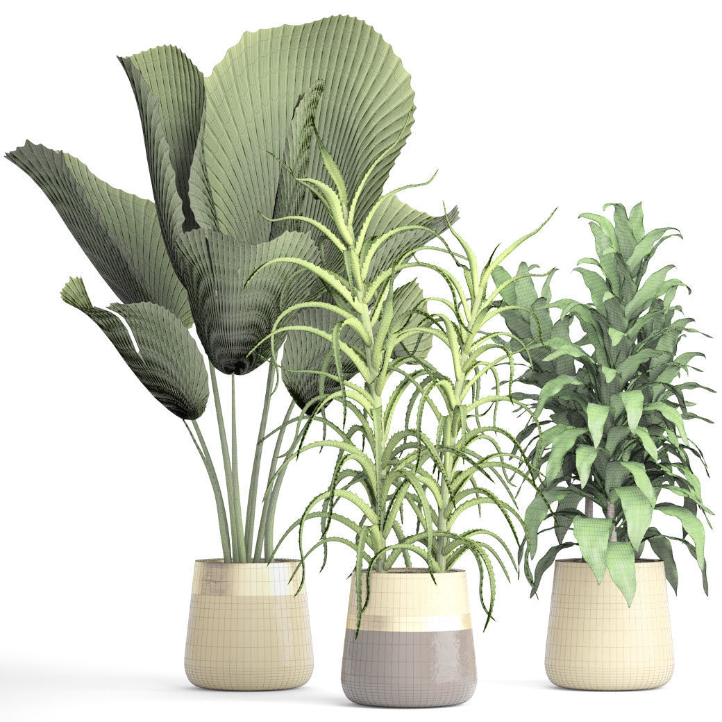 Plant set three potted plants 3D model_8