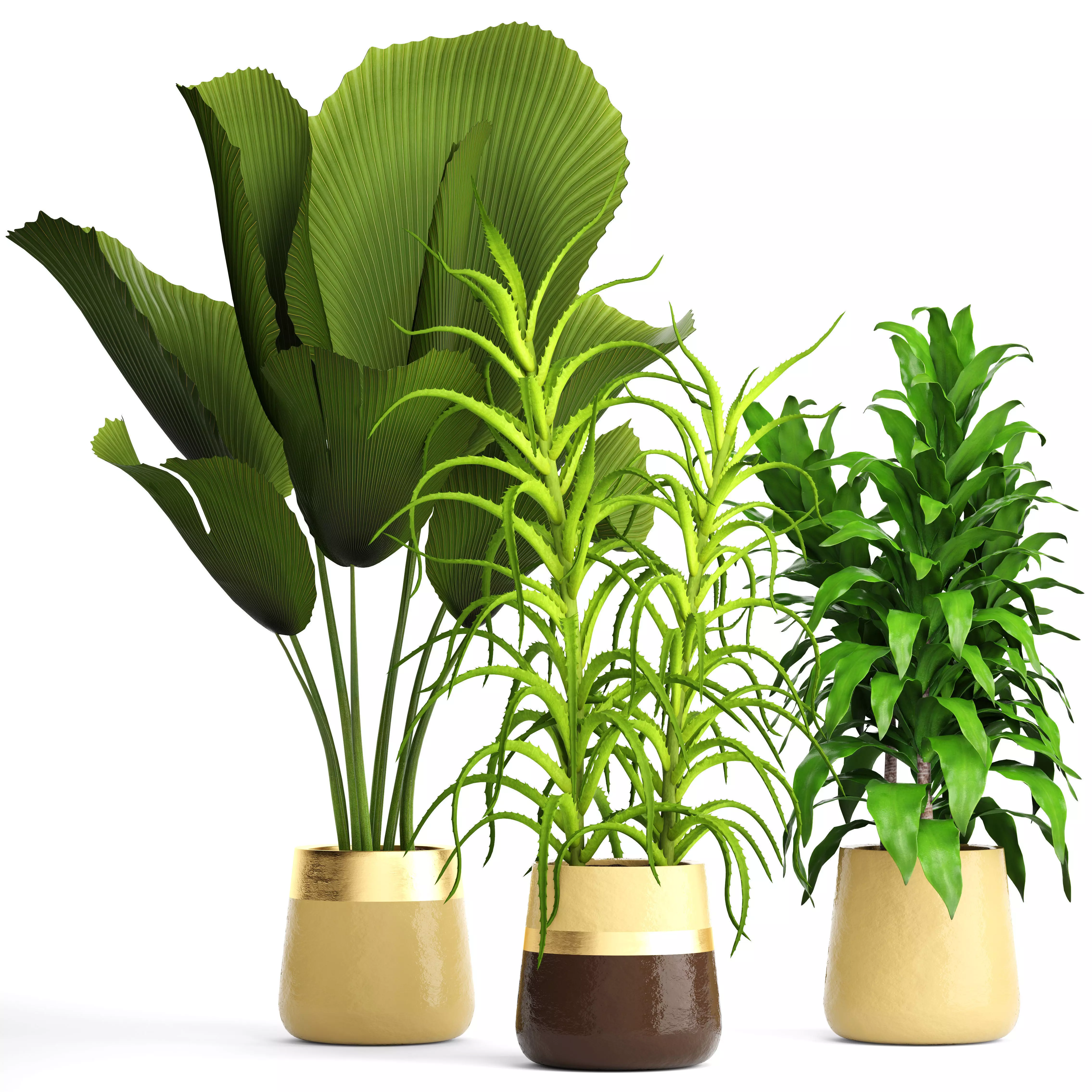 Plant set three potted plants 3D model_0