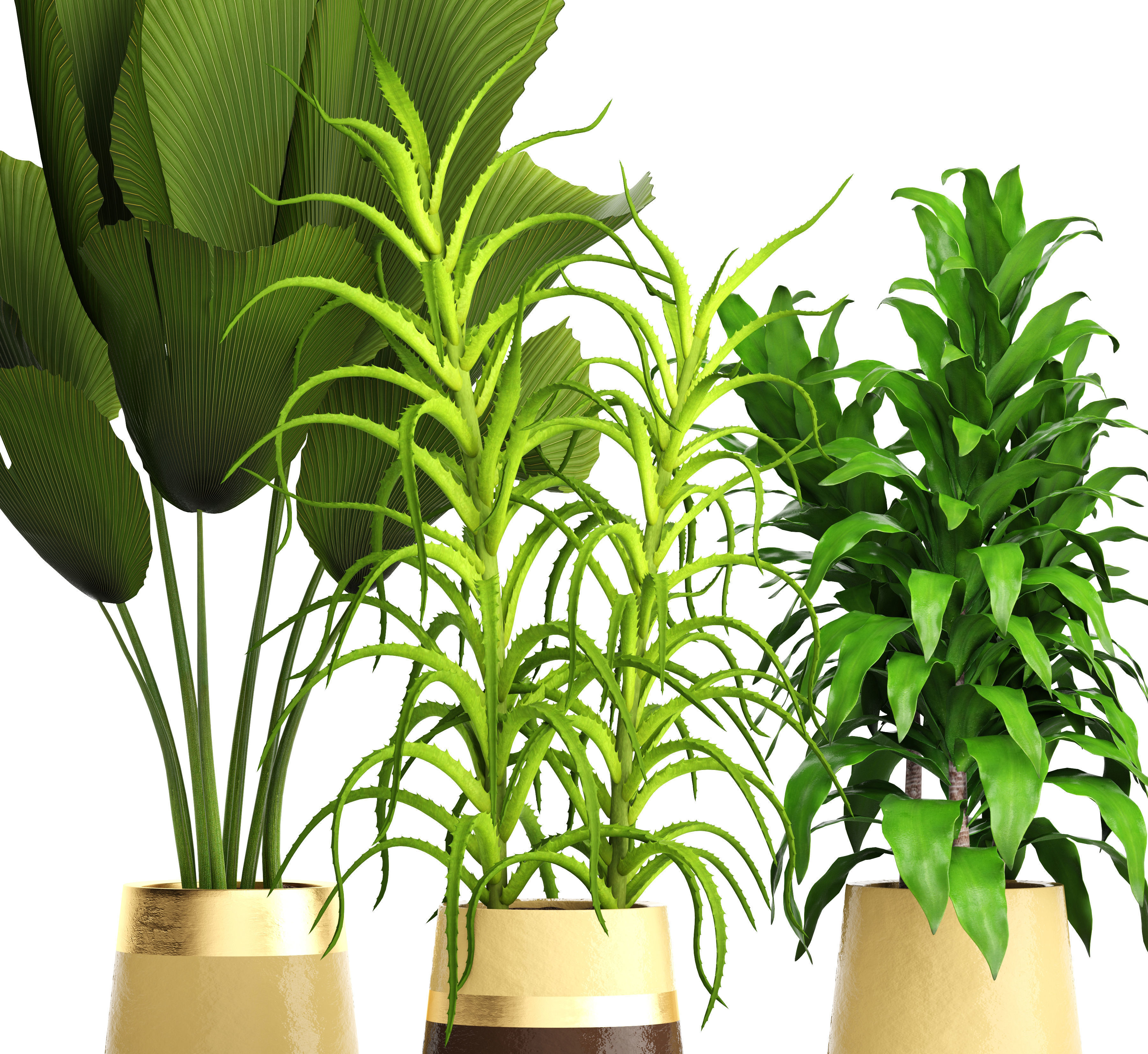 Plant set three potted plants 3D model_9