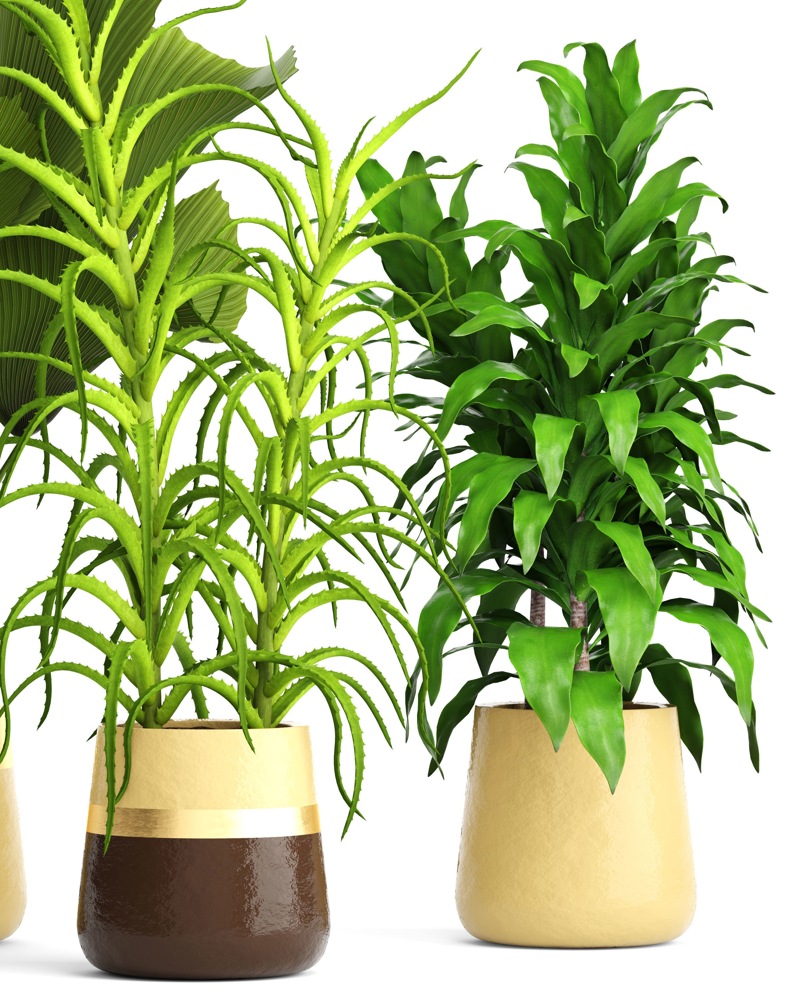 Plant set three potted plants 3D model_1