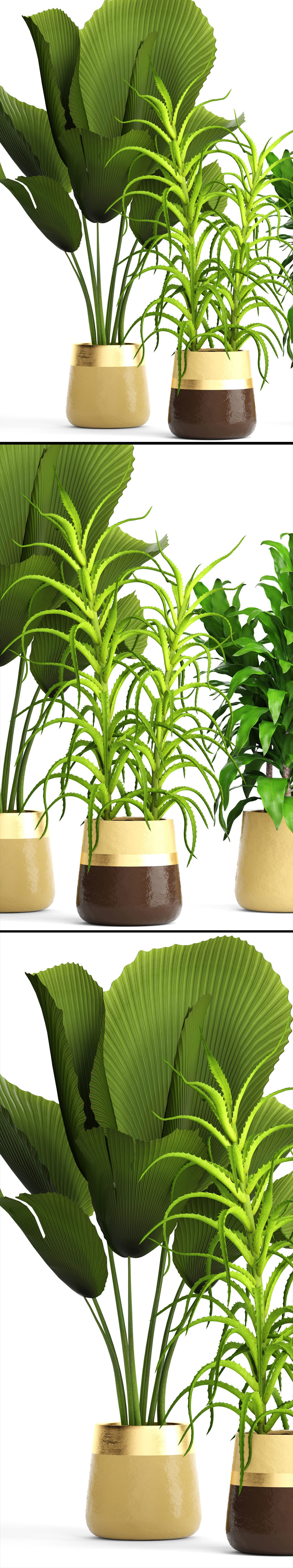 Plant set three potted plants 3D model_4