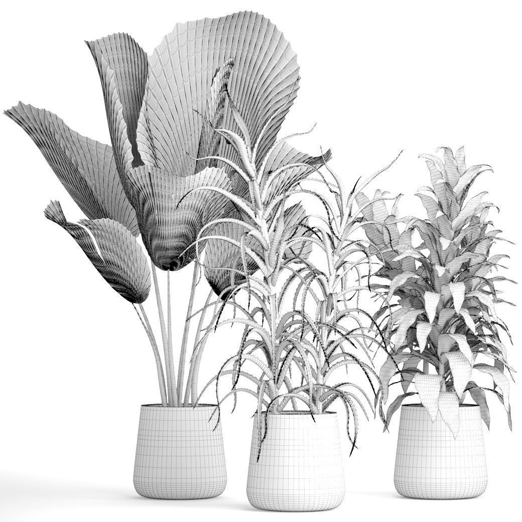 Plant set three potted plants 3D model_10