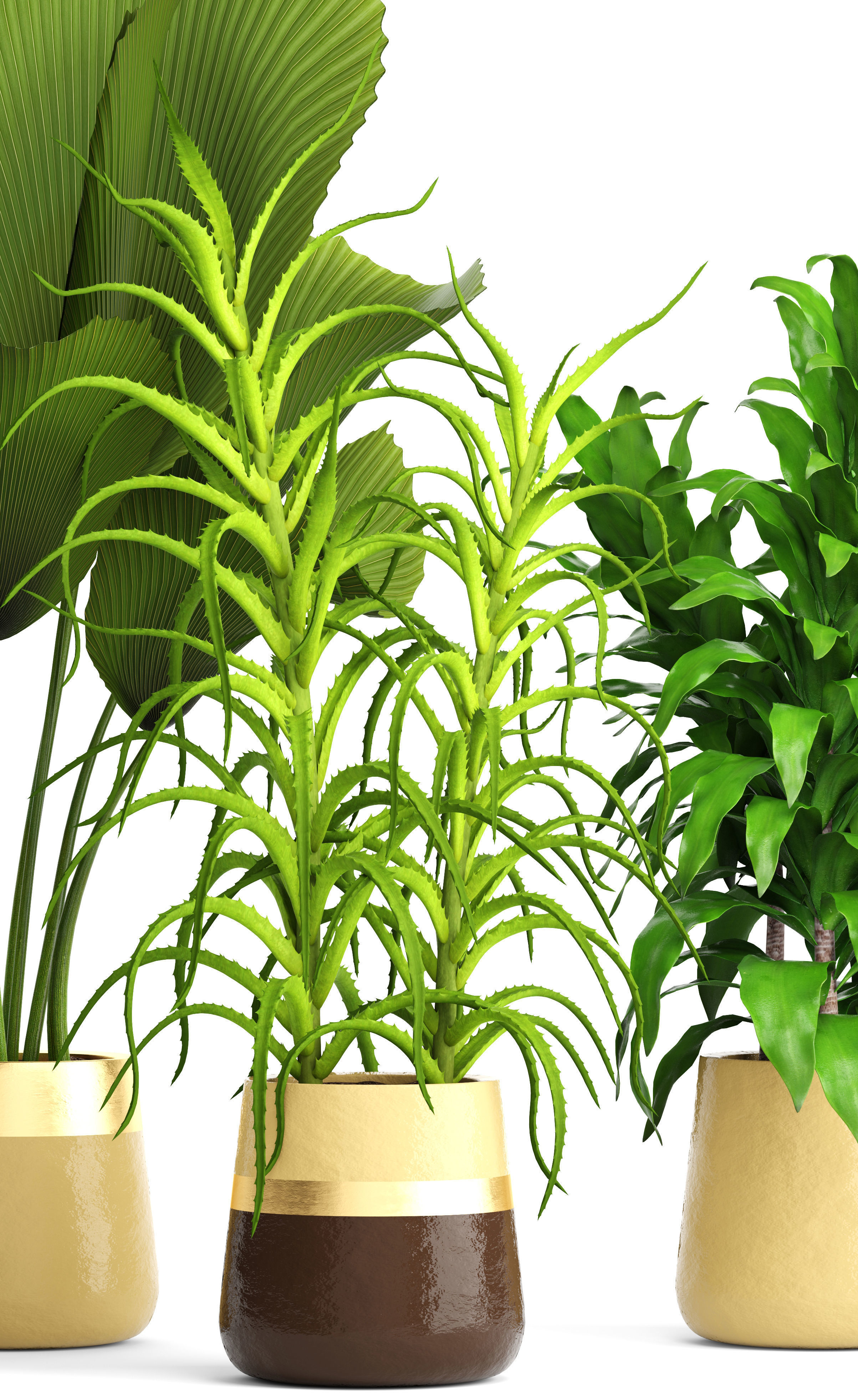Plant set three potted plants 3D model_2