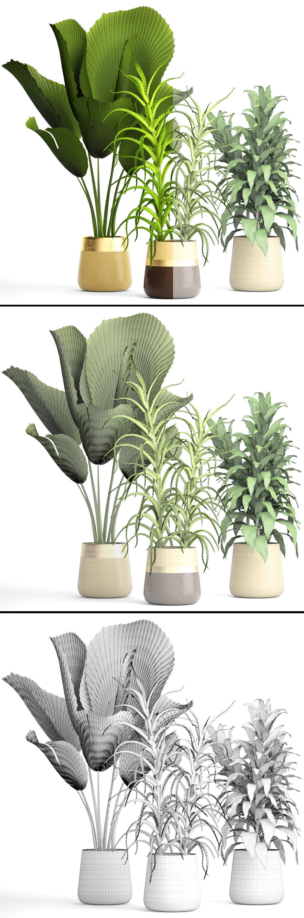 Plant set three potted plants 3D model_7