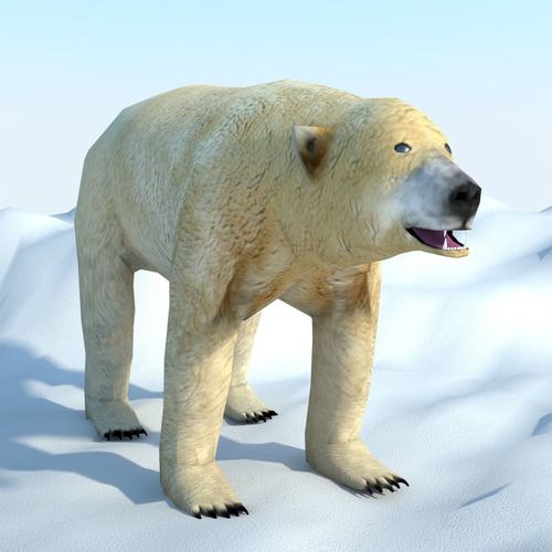 Low Poly Polar Bear Low-poly 3D model