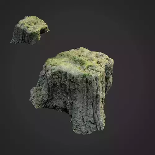 3d scanned nature tree stump 009