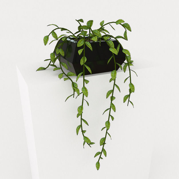 Interior Props Collection 1 Low-poly 3D model_3