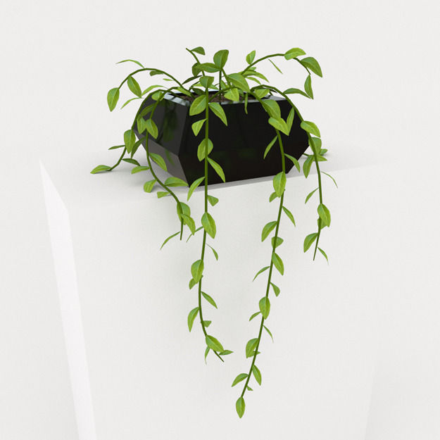 Interior Props Collection 1 Low-poly 3D model_5