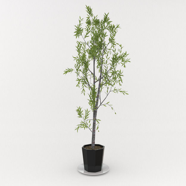 Interior Props Collection 1 Low-poly 3D model_4