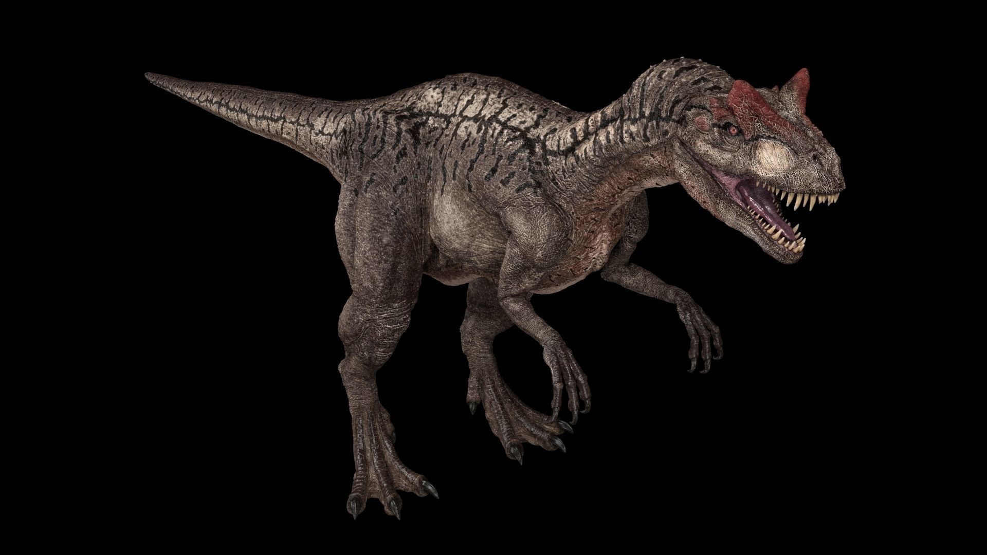 Allosaurus dinosaur Low-poly 3D model_4