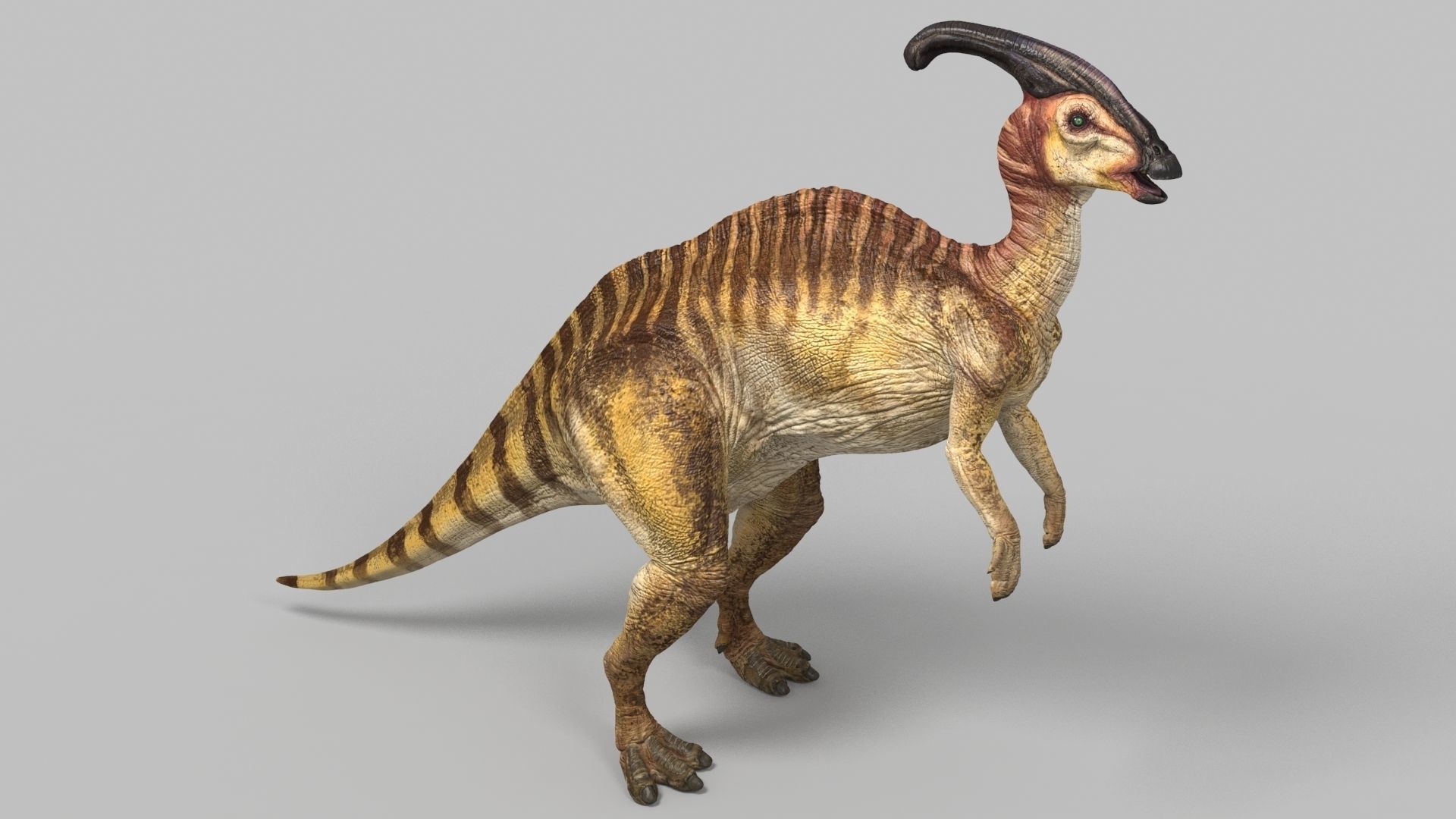 Parasaurolophus dinosaur with long horns Low-poly 3D model_3