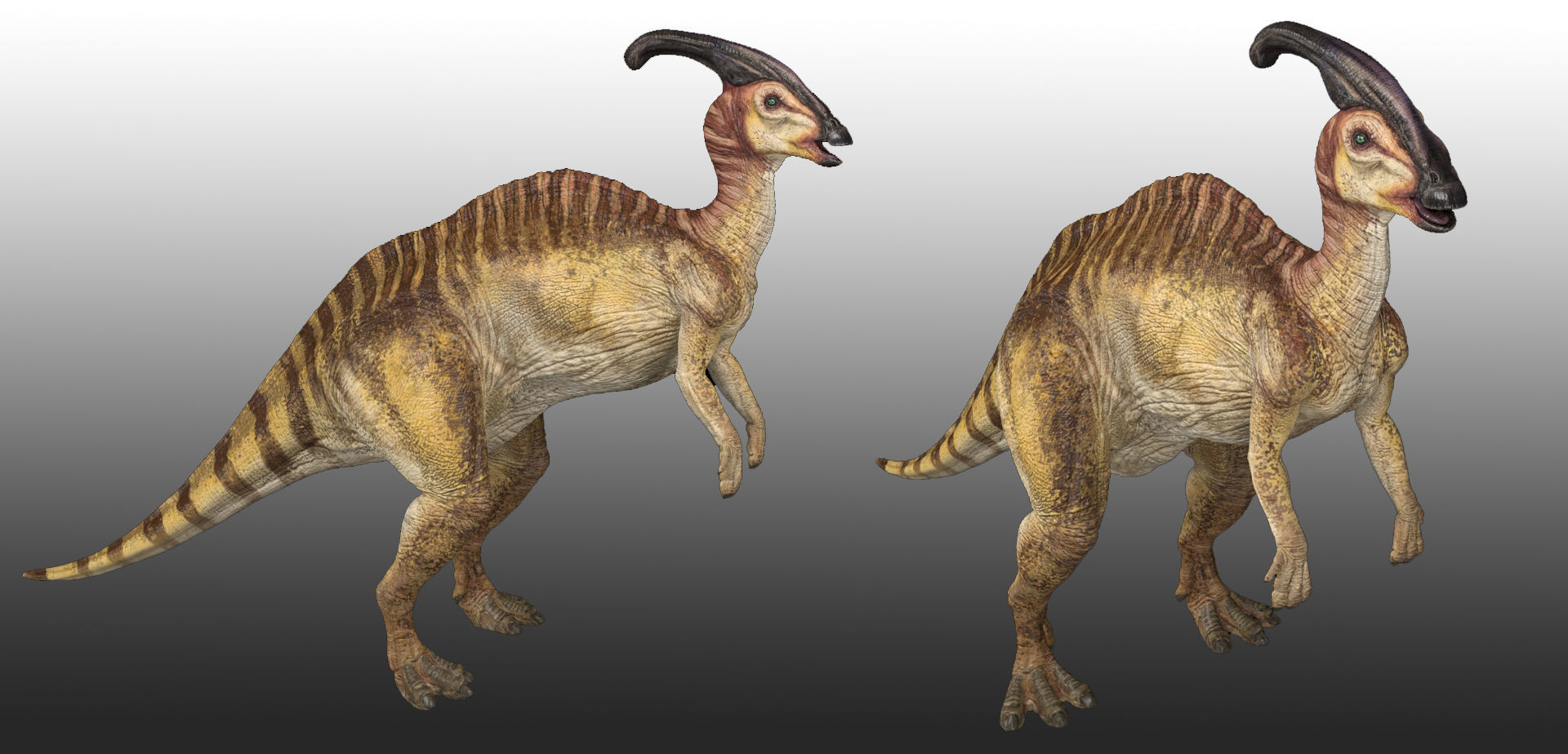 Parasaurolophus dinosaur with long horns Low-poly 3D model_6