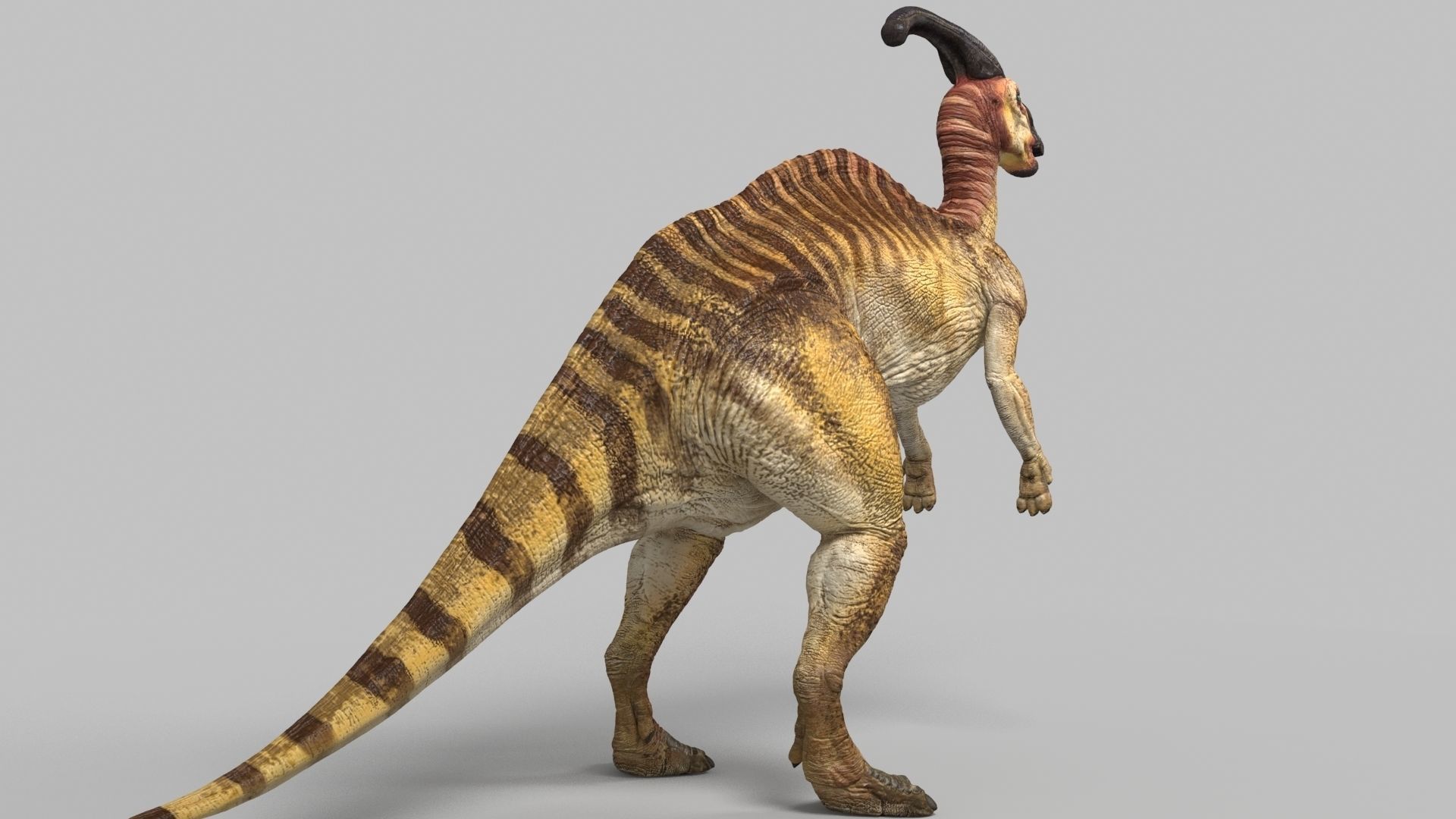Parasaurolophus dinosaur with long horns Low-poly 3D model_4