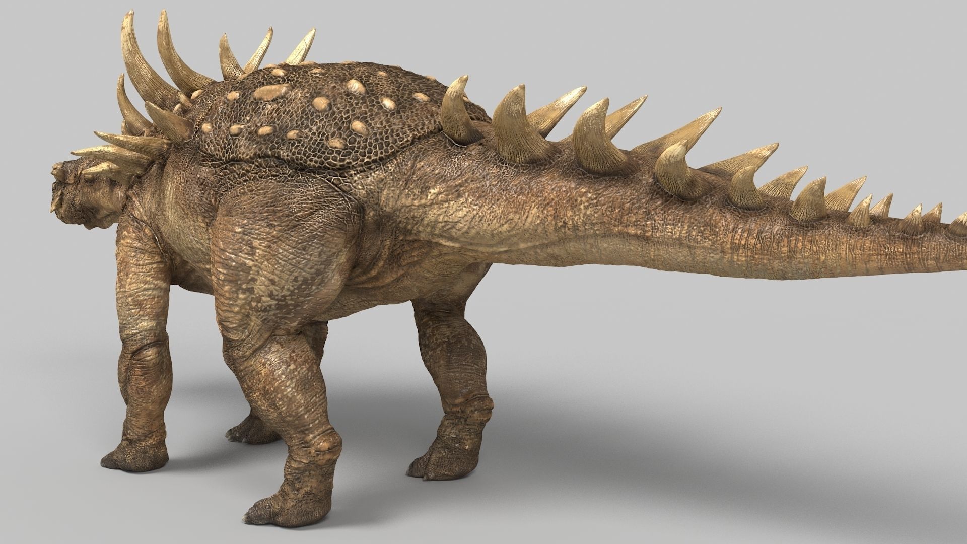 Polocantus dinosaur Low-poly 3D model_4