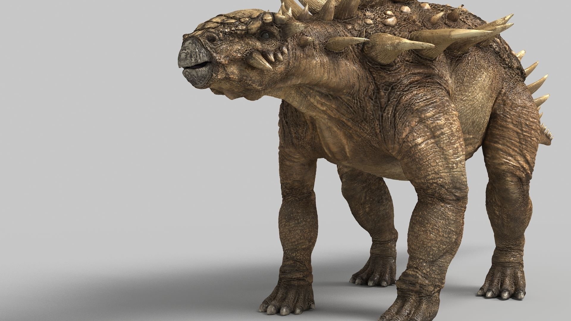 Polocantus dinosaur Low-poly 3D model_3