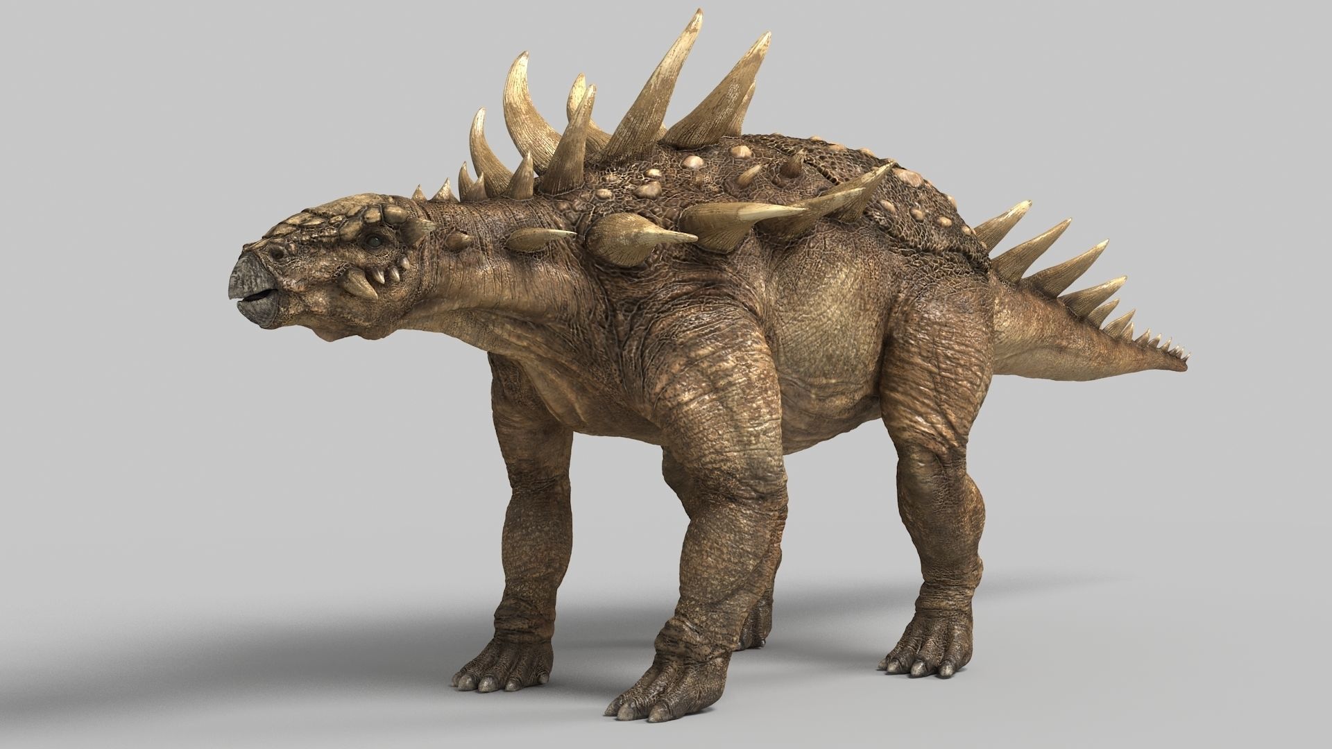 Polocantus dinosaur Low-poly 3D model_2
