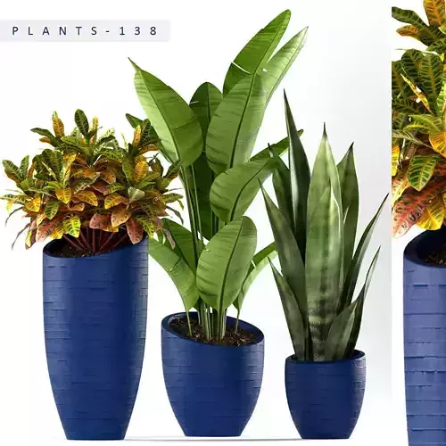 plants set 138