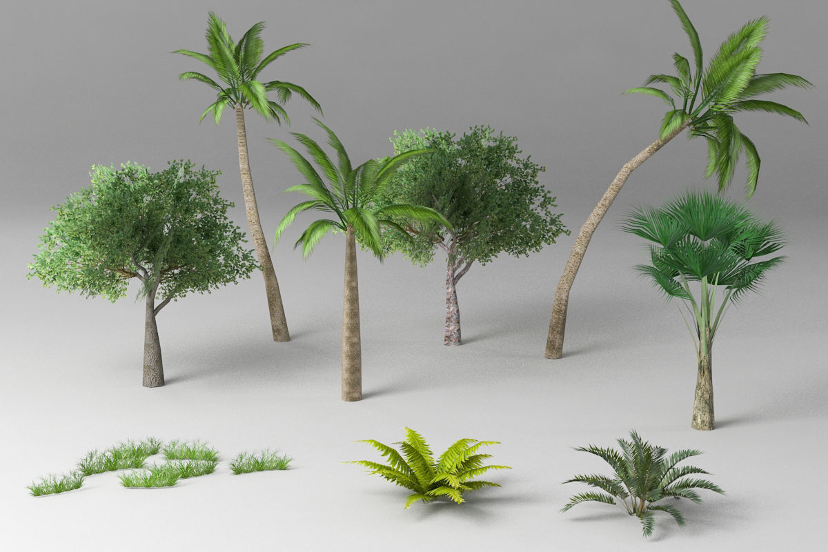 Tree plant gras set Low-poly 3D model_2