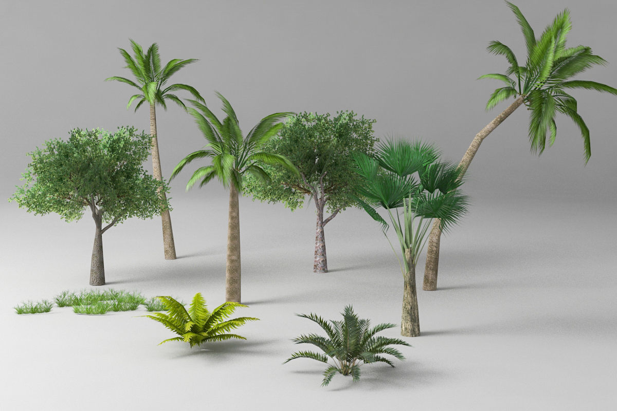Tree plant gras set Low-poly 3D model_1