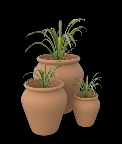 Clay pots with plants 3D print model