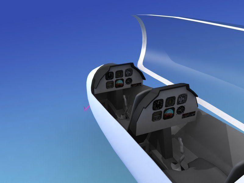 Duo Discus Sailplane 3D model_11