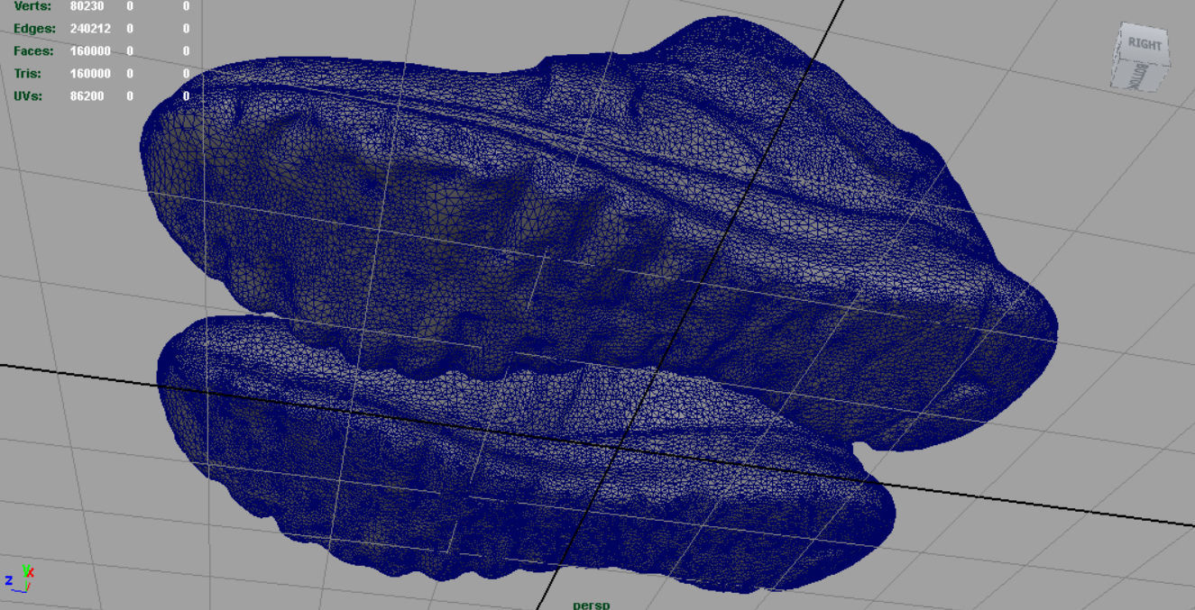 Sneakers 10 3D model_11