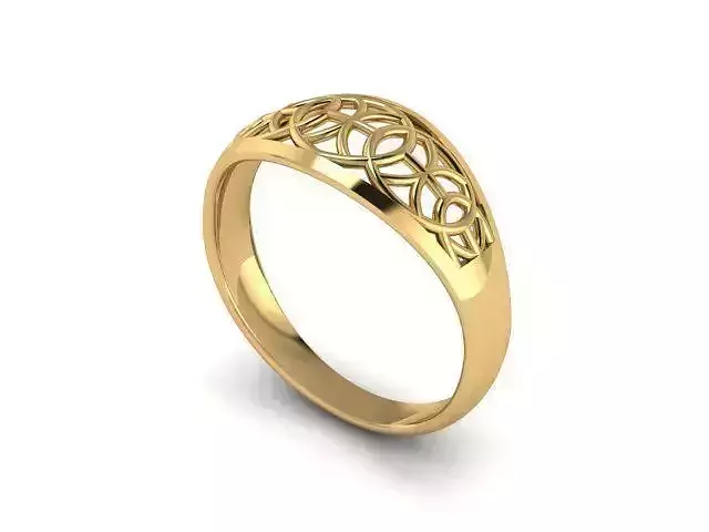 Ring R0669 