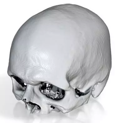 myskull human skull 3D print model