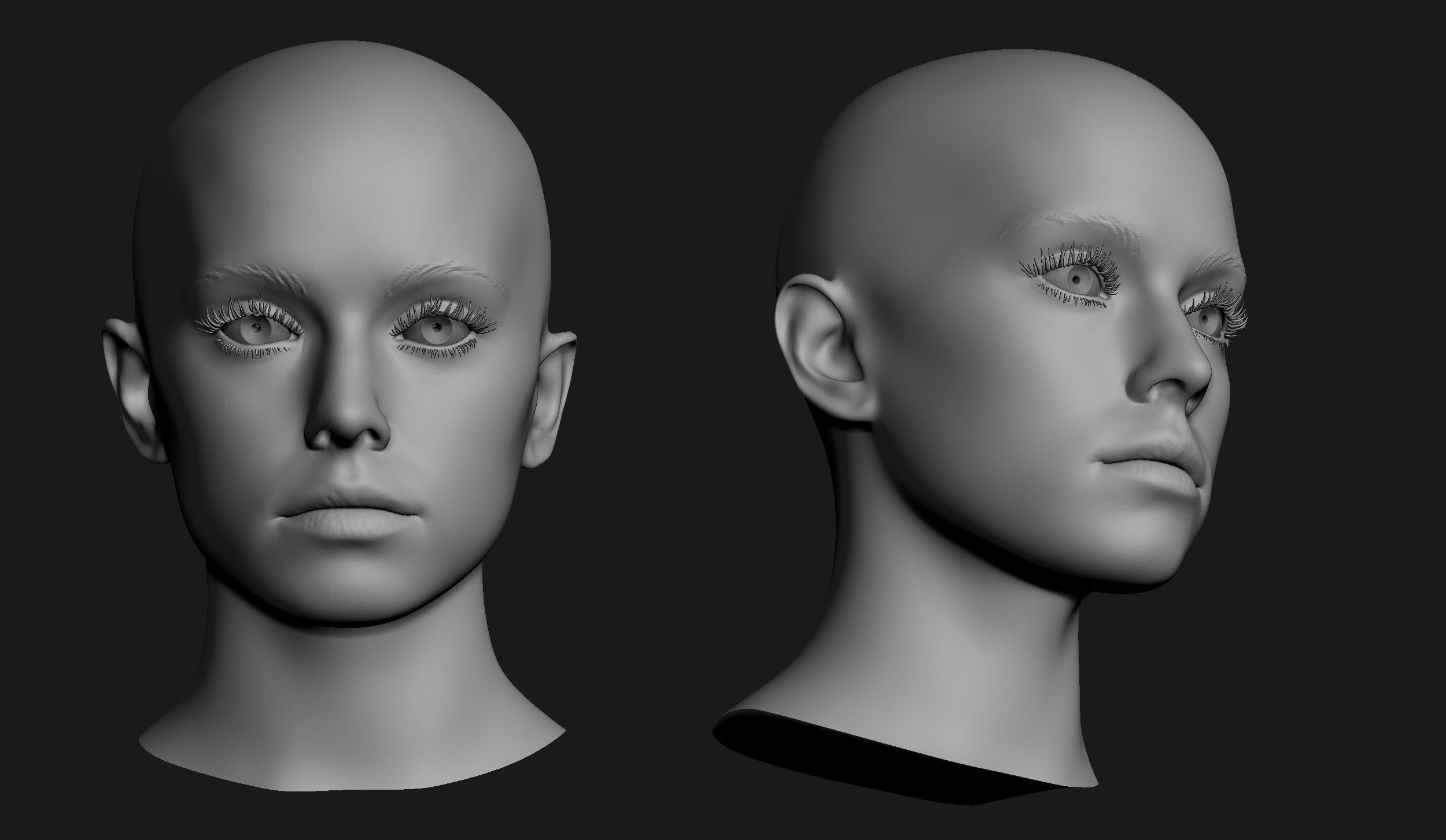 Female Head Sculpt 02 3D model_5