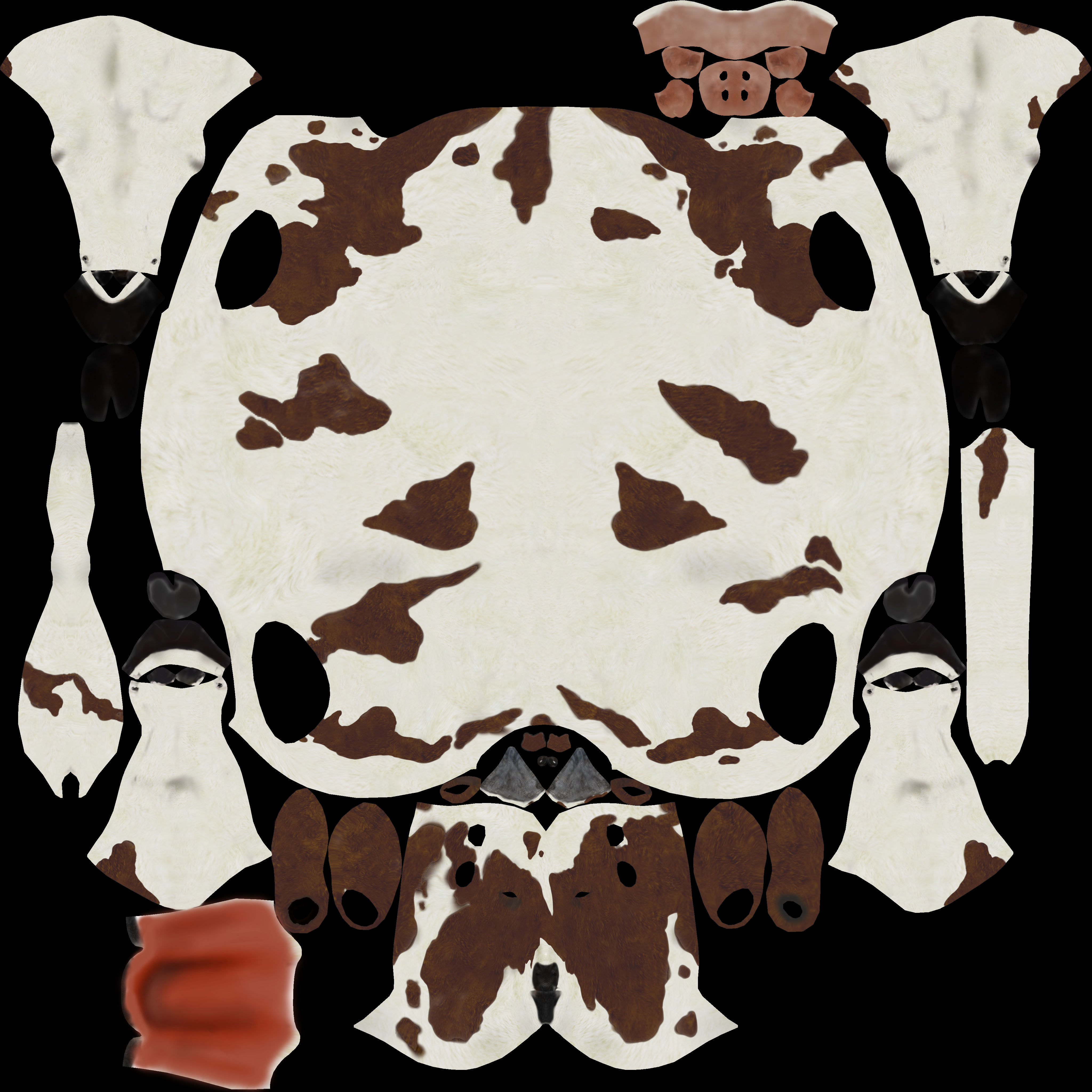 Cow Modal Low-poly 3D model_4