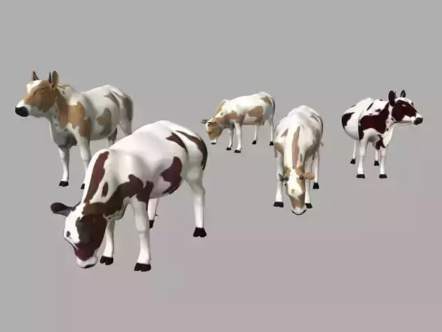 Cow Modal
